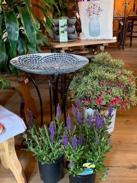 Local outdoor landscaping experts serving Windham, NY - Smitty's Nursery & Landscape