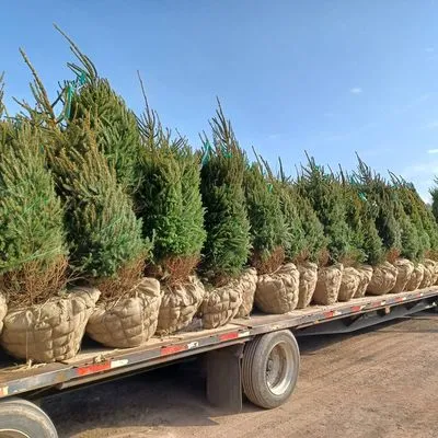 Smitty's Nursery & Landscape