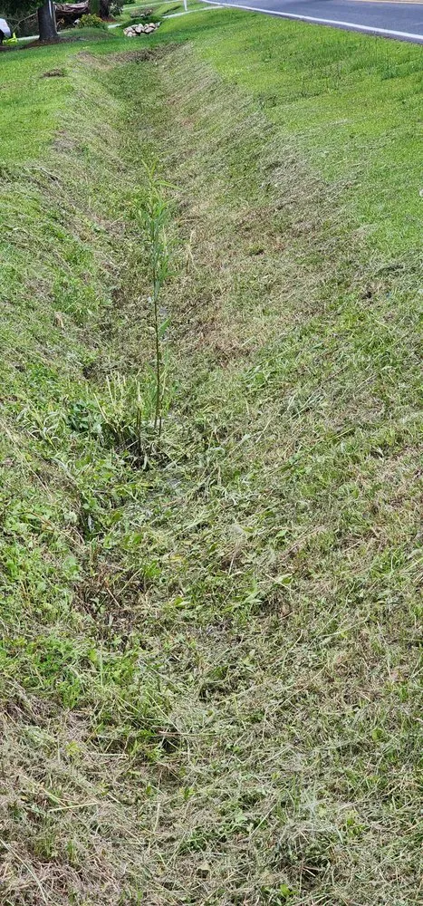 Affordable lawn mowing service in Bolivia, NC - Smittys Property Management