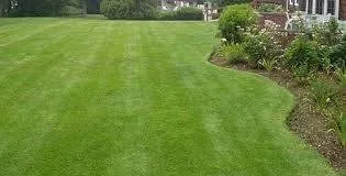 Trusted lawn mowing service experts serving Rigby, ID - Smitty's