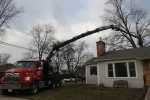 Reliable yard maintenance near you across Alsip, IL - Smitty's Tree Service