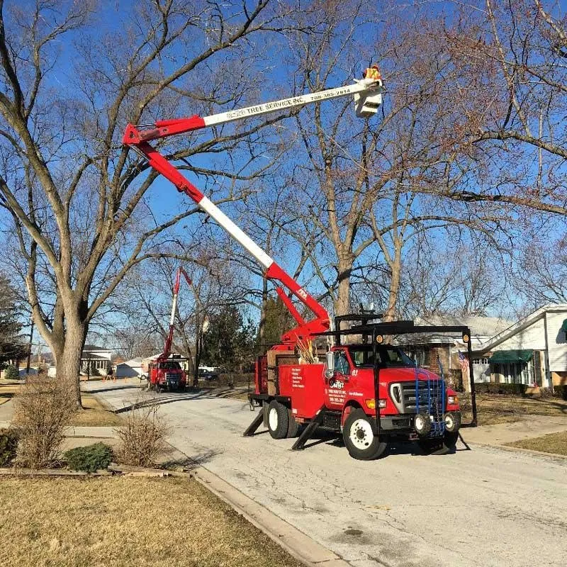 Trusted yard cleanup service in Alsip, IL - Smitty's Tree Service