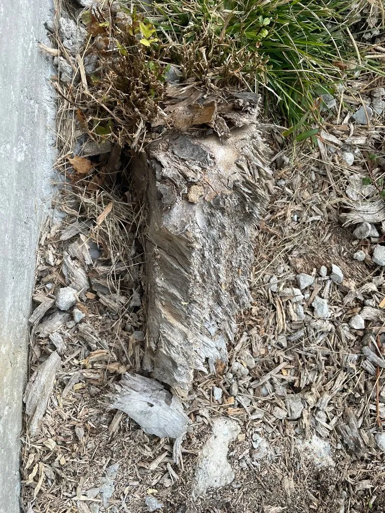 Top-rated garden landscaping experts serving Alsip, IL - Smitty's Tree Service