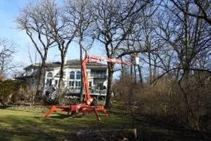 Custom residential landscaping experts serving Alsip, IL - Smitty's Tree Service