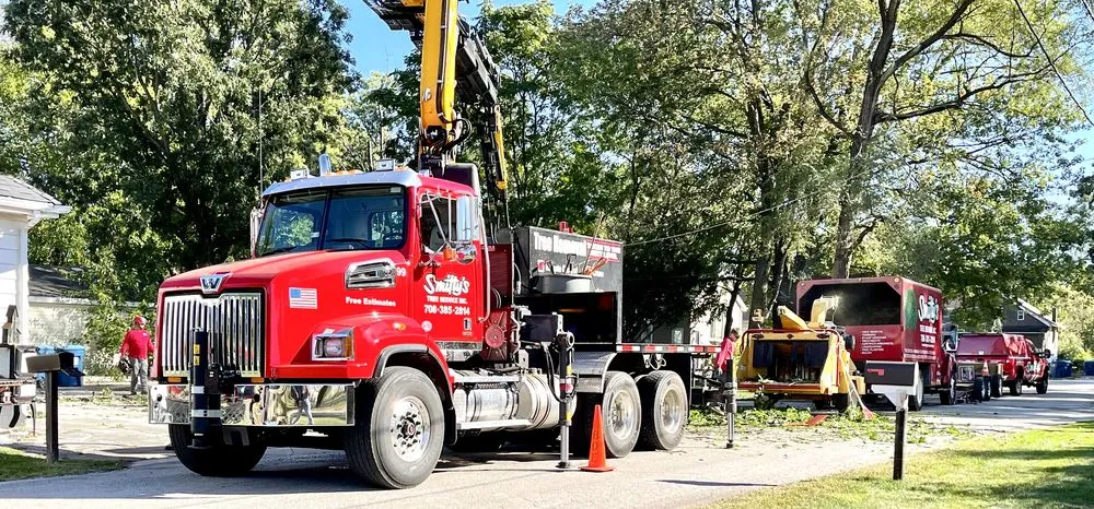 Local lawn mowing service experts serving Alsip, IL - Smitty's Tree Service