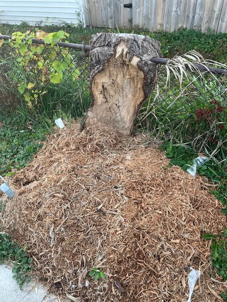 Affordable outdoor landscaping in Alsip, IL by Smitty's Tree Service