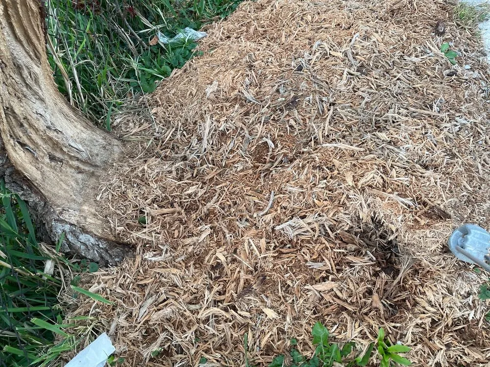 Trusted residential landscaping with custom design in Alsip, IL by Smitty's Tree Service