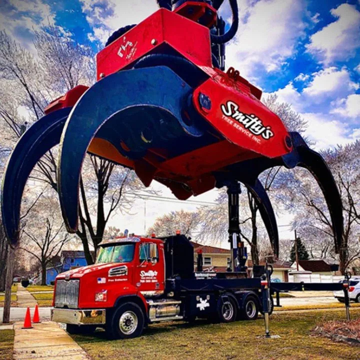 Professional lawn care service with custom design in Alsip, IL by Smitty's Tree Service