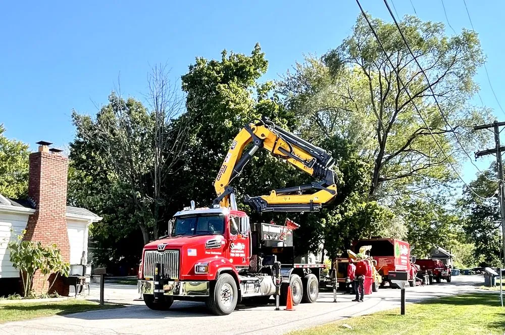 Custom landscaping services near you in Alsip, IL by Smitty's Tree Service