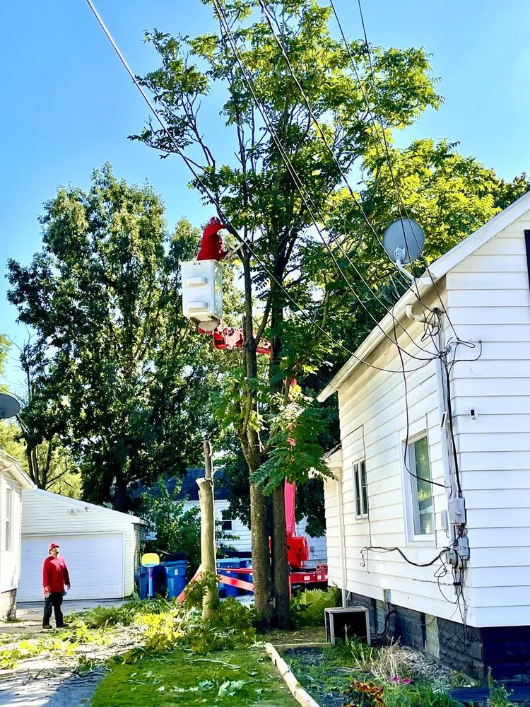 Professional landscape installation for beautiful yards across Alsip, IL - Smitty's Tree Service