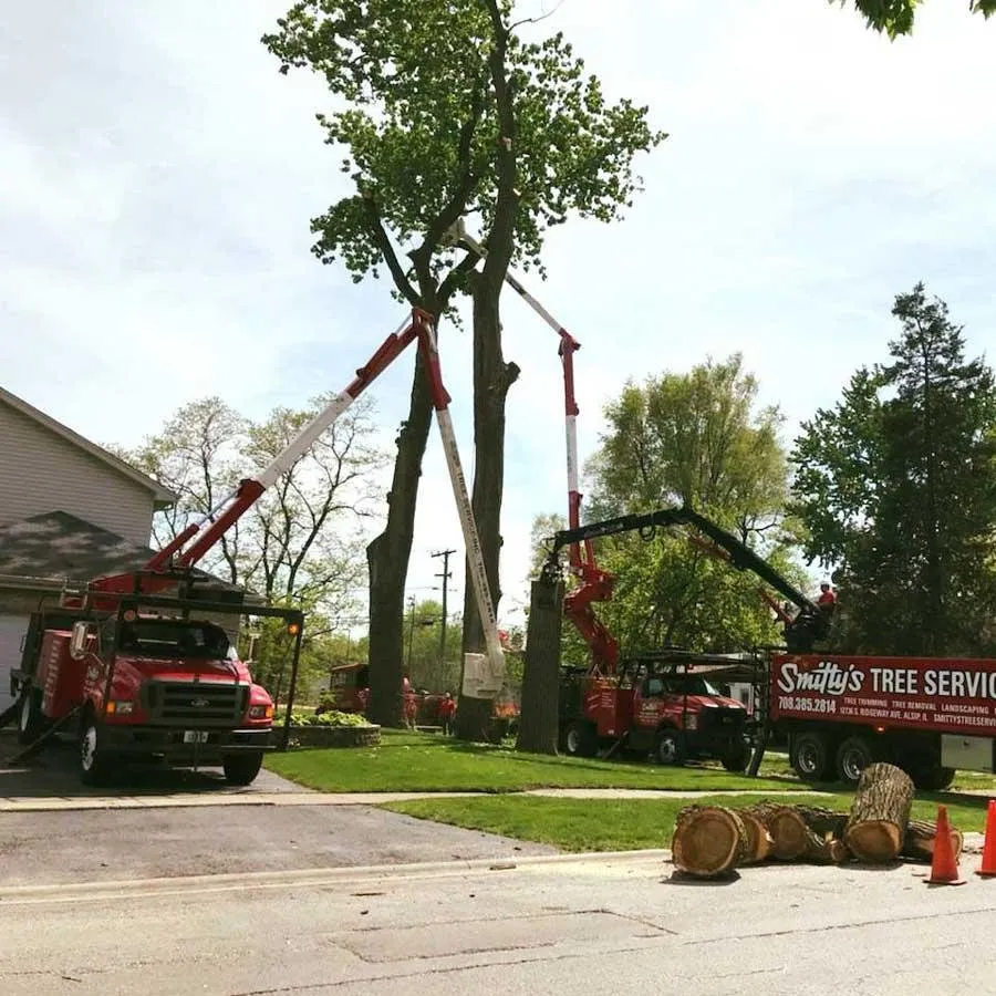 Affordable outdoor landscaping for homes across Alsip, IL - Smitty's Tree Service