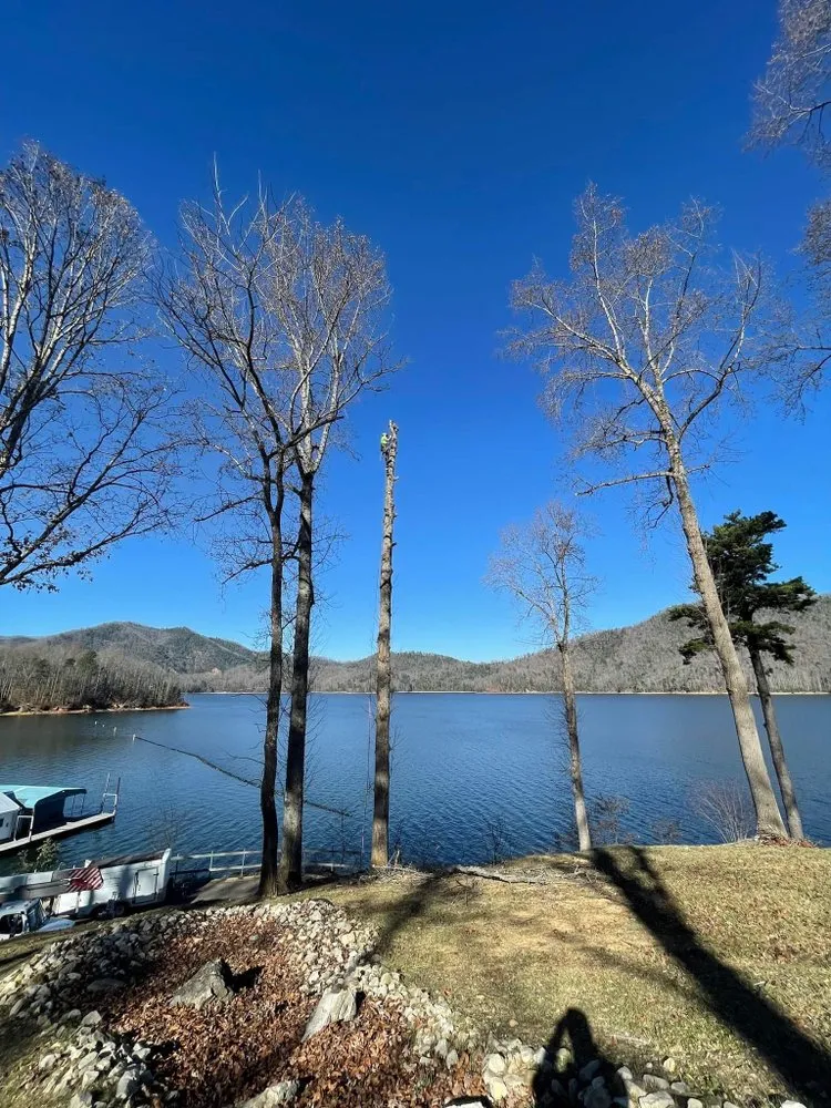 Local landscape design in Elk Park, NC by Smitty's Tree service