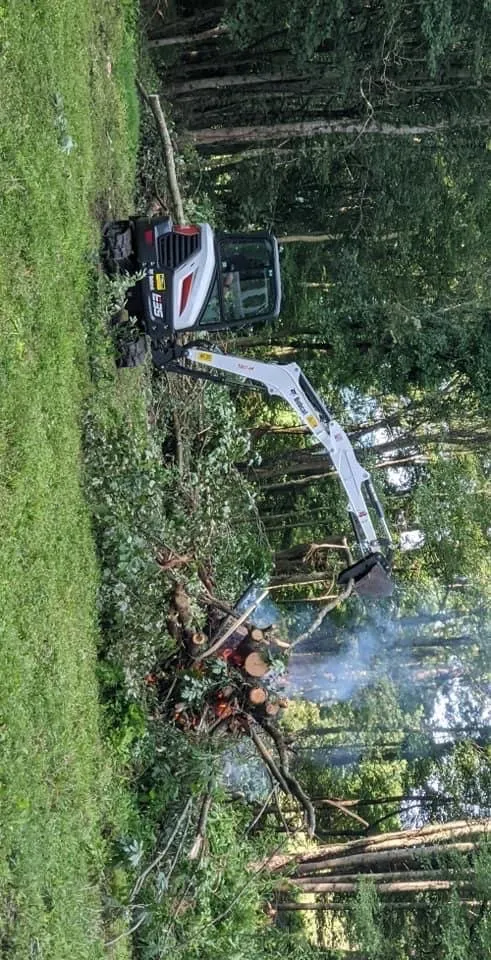 Custom yard cleanup service for beautiful yards in Elk Park, NC by Smitty's Tree service