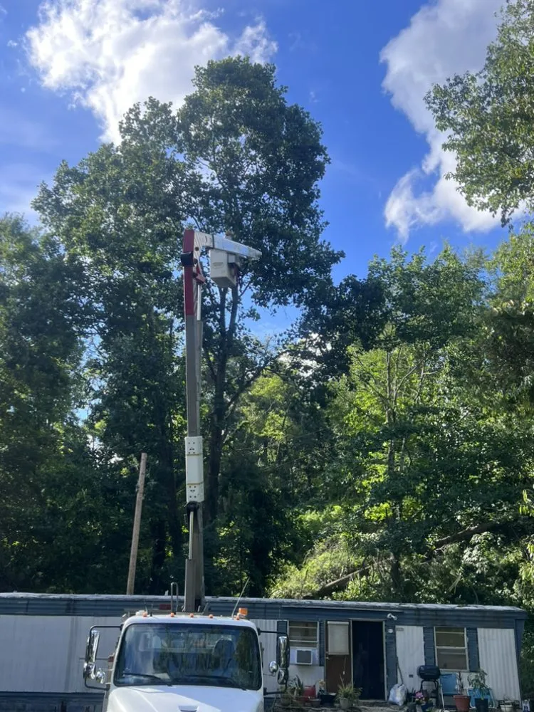 Custom yard maintenance in Elk Park, NC by Smitty's Tree service
