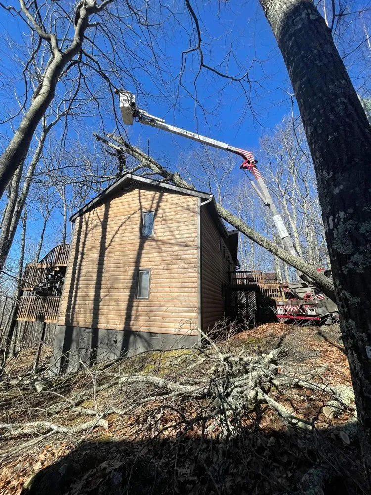 Professional landscape installation for outdoor upgrades across Elk Park, NC - Smitty's Tree service
