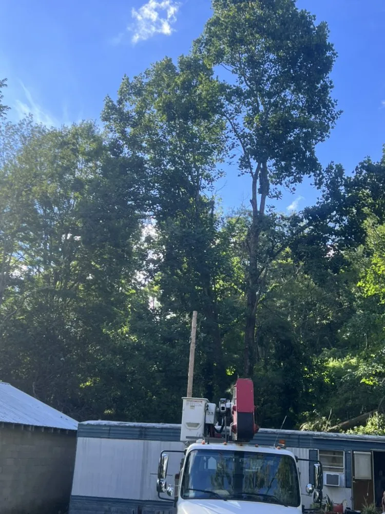 Top-rated landscape installation experts serving Elk Park, NC - Smitty's Tree service
