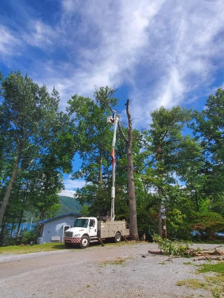Affordable garden landscaping in Elk Park, NC by Smitty's Tree service