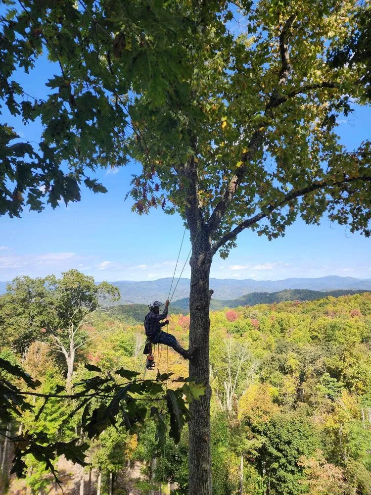 Expert landscape design experts serving Elk Park, NC - Smitty's Tree service
