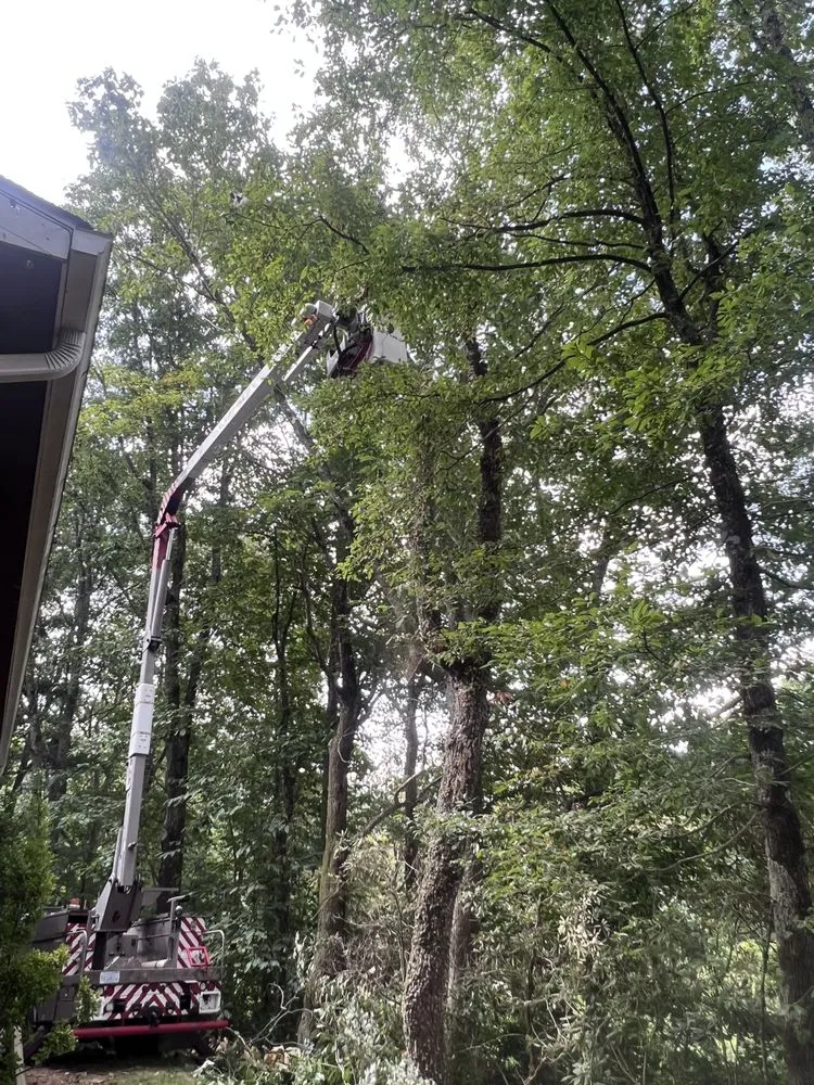 Reliable landscape design in Elk Park, NC - Smitty's Tree service