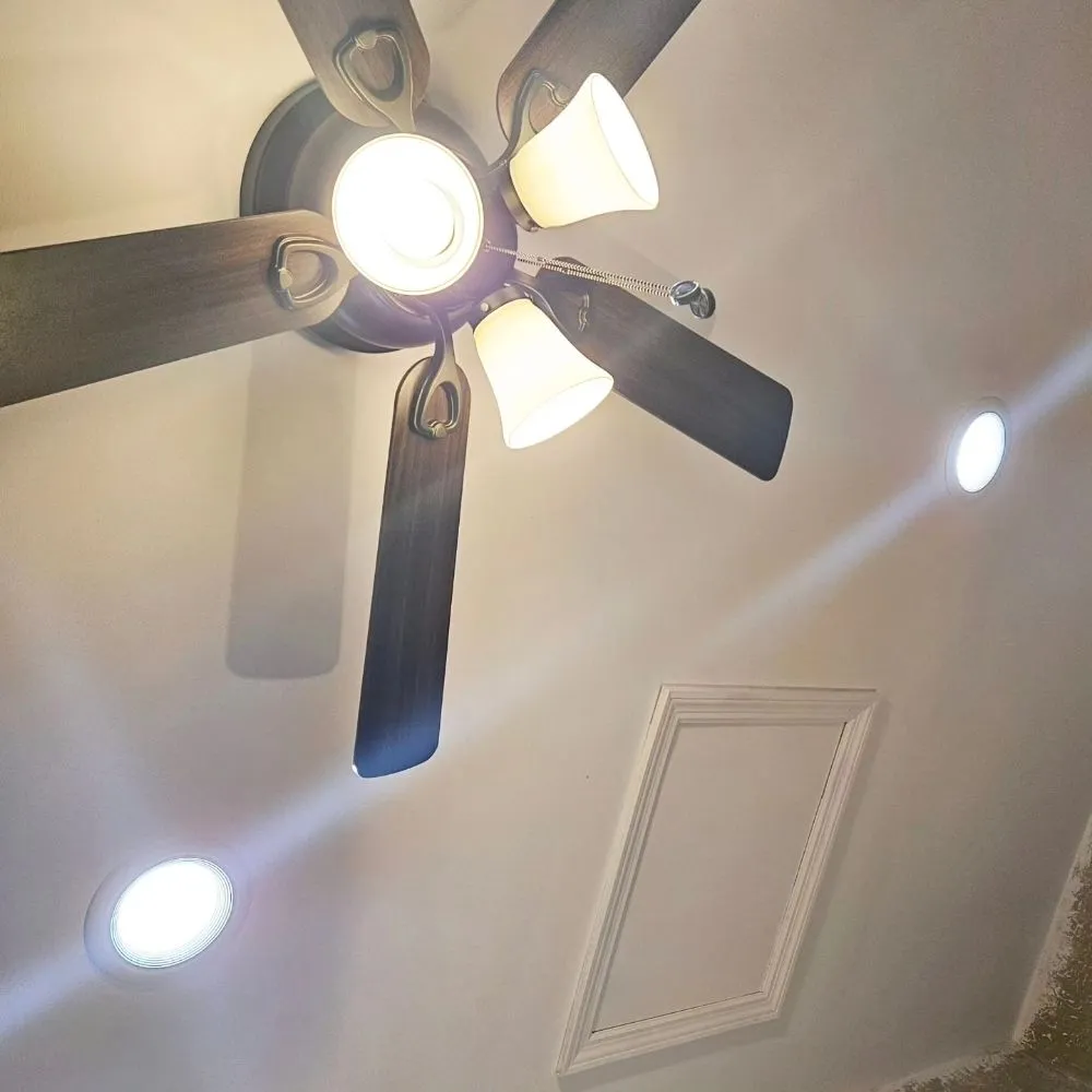 Affordable lawn care service for year-round maintenance in Lehigh Acres, FL by SMM Construction Services