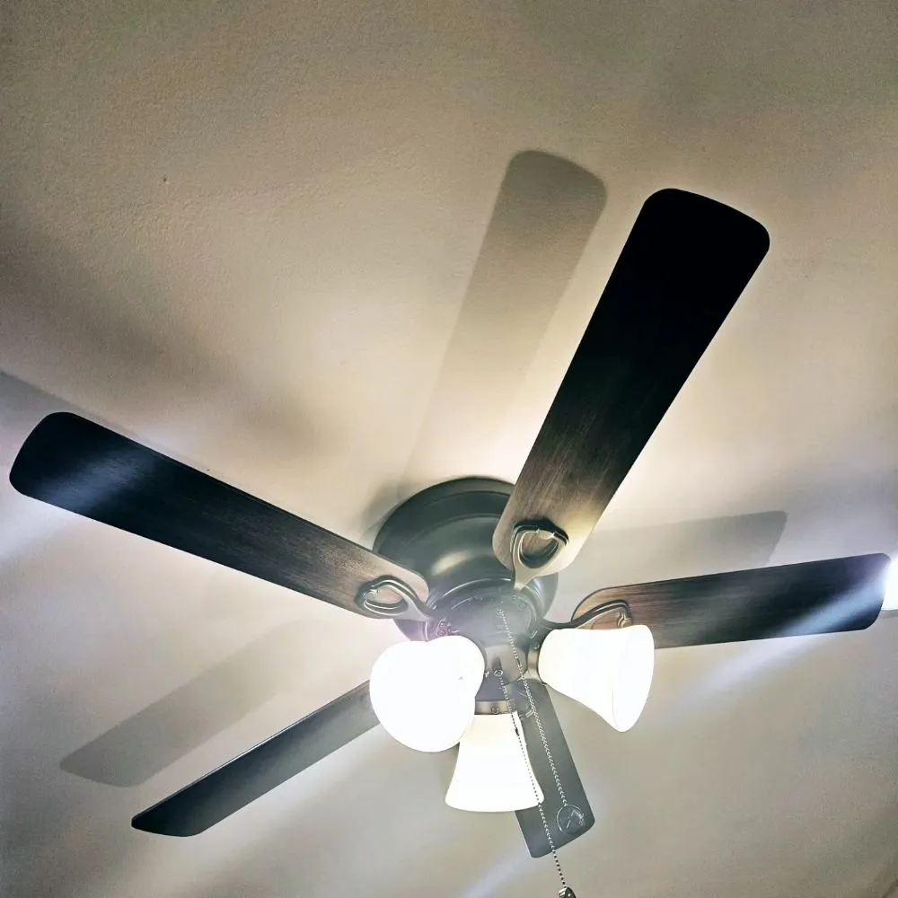 Professional garden landscaping in Lehigh Acres, FL by SMM Construction Services