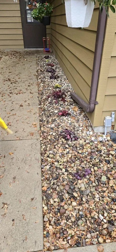 Top-rated yard cleanup service experts serving Sheboygan, WI - Smokeez