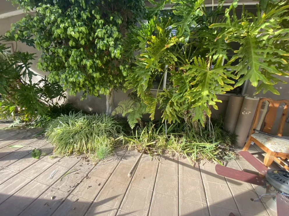 Professional lawn mowing service in Wildomar, CA by Smokescapers