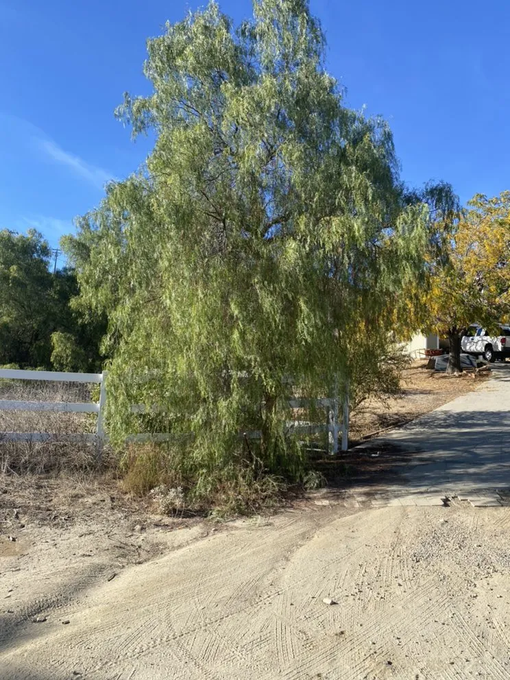 Local landscape installation for outdoor upgrades across Wildomar, CA - Smokescapers