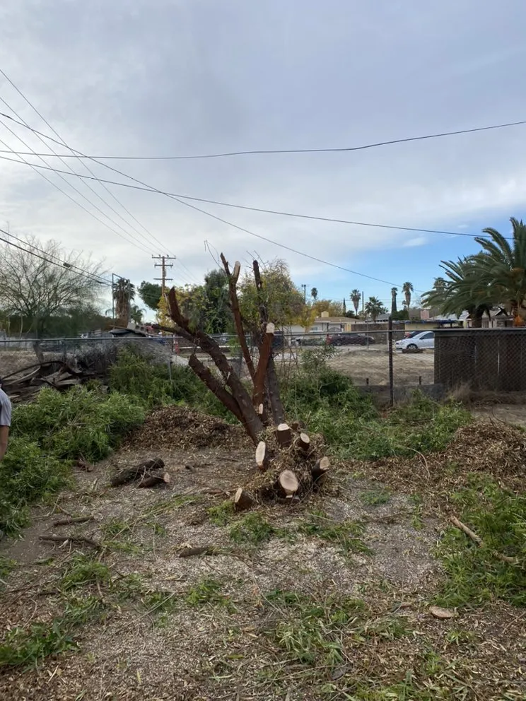 Professional garden landscaping for residential properties across Wildomar, CA - Smokescapers