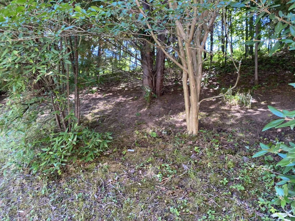 Reliable yard cleanup service for outdoor upgrades in Knoxville, TN by Smokey Group LLC