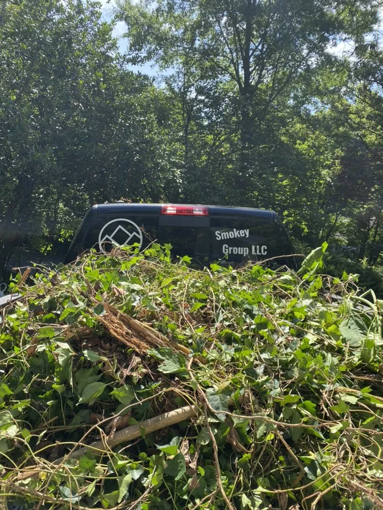 Local outdoor landscaping in Knoxville, TN by Smokey Group LLC