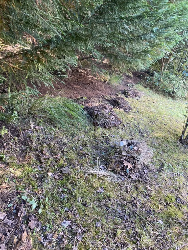 Local outdoor landscaping with custom design across Knoxville, TN - Smokey Group LLC