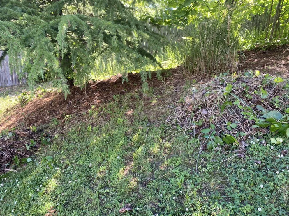 Trusted outdoor landscaping for outdoor upgrades in Knoxville, TN by Smokey Group LLC