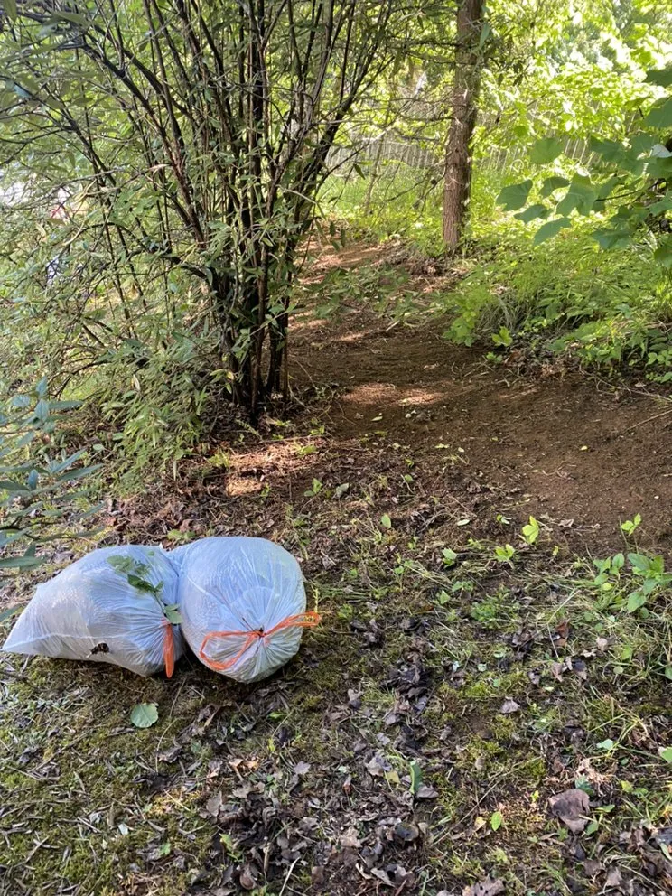 Affordable garden landscaping experts serving Knoxville, TN - Smokey Group LLC