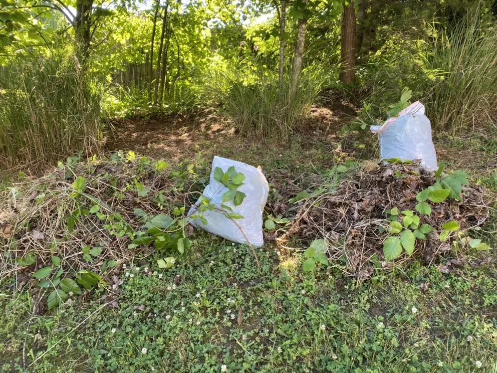 Affordable landscape installation in Knoxville, TN - Smokey Group LLC