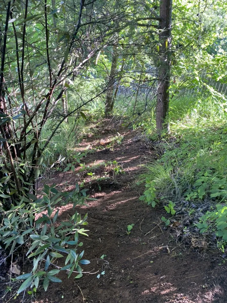 Top-rated outdoor landscaping experts serving Knoxville, TN - Smokey Group LLC