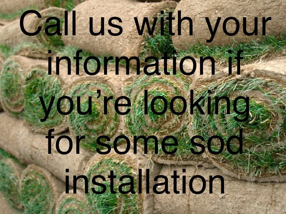 Reliable outdoor landscaping in Knoxville, TN by Smokey Group LLC