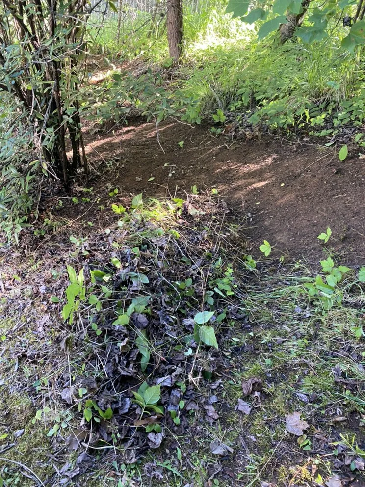 Professional outdoor landscaping with custom design across Knoxville, TN - Smokey Group LLC