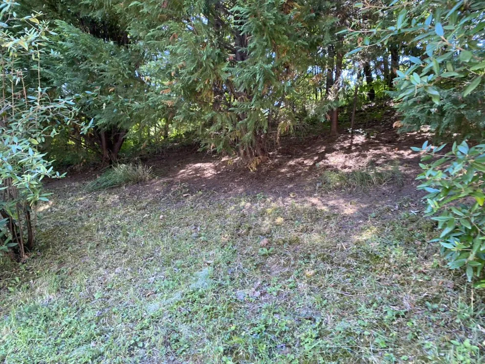 Local outdoor landscaping for year-round maintenance in Knoxville, TN by Smokey Group LLC