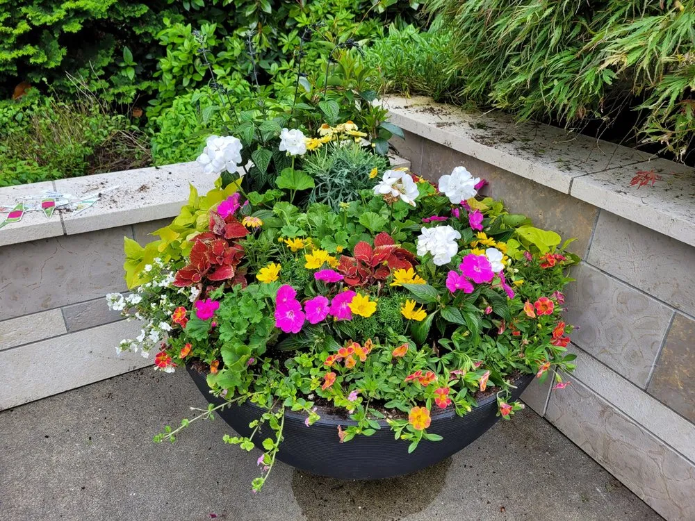 Top-rated yard maintenance for residential properties in Sedro-Woolley, WA by Smokey Mountain Landscapes