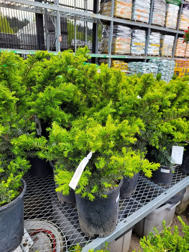 Reliable outdoor landscaping experts serving Sedro-Woolley, WA - Smokey Mountain Landscapes