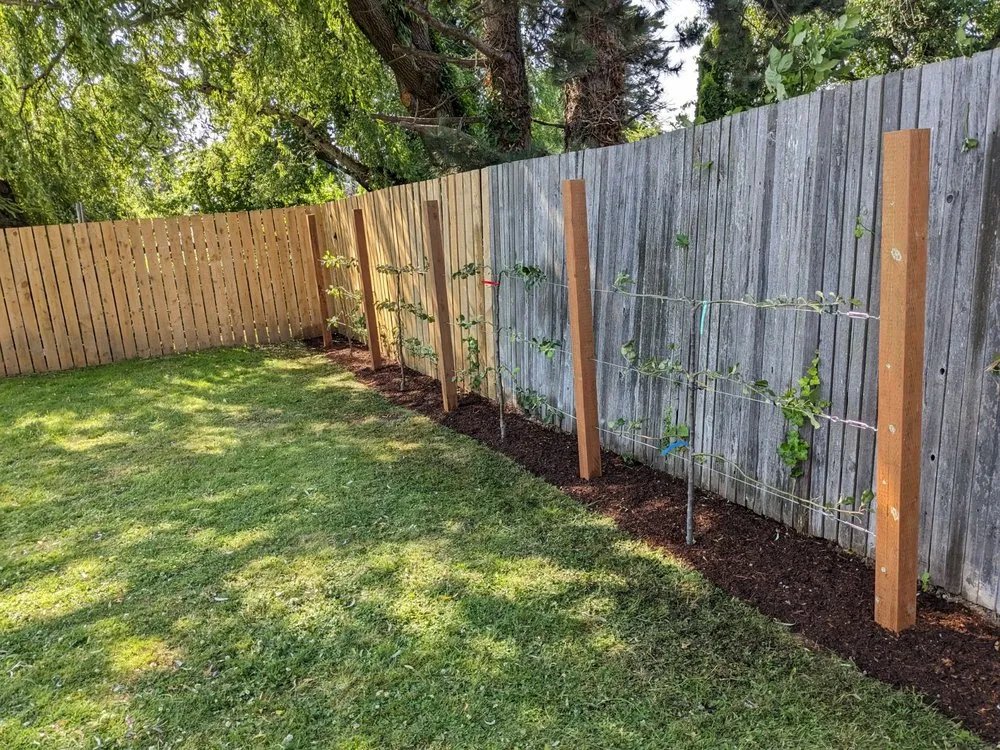 Top-rated lawn care service in Sedro-Woolley, WA by Smokey Mountain Landscapes