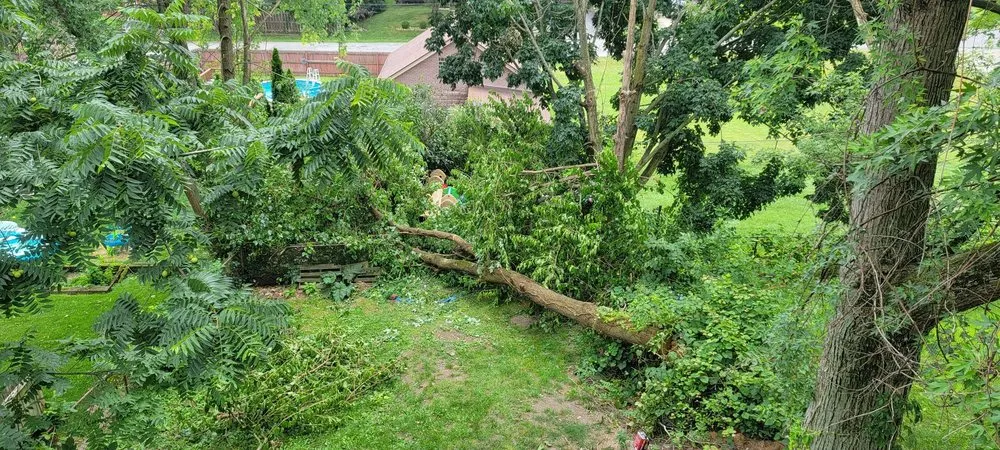 Reliable garden landscaping experts serving McKees Rocks, PA - Smokey Sons Contracting& Landscaping