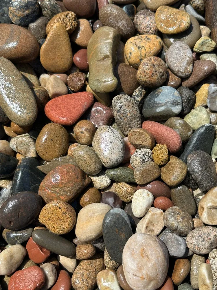 Affordable yard cleanup service in Sanford, FL by Smokey Valley Stone