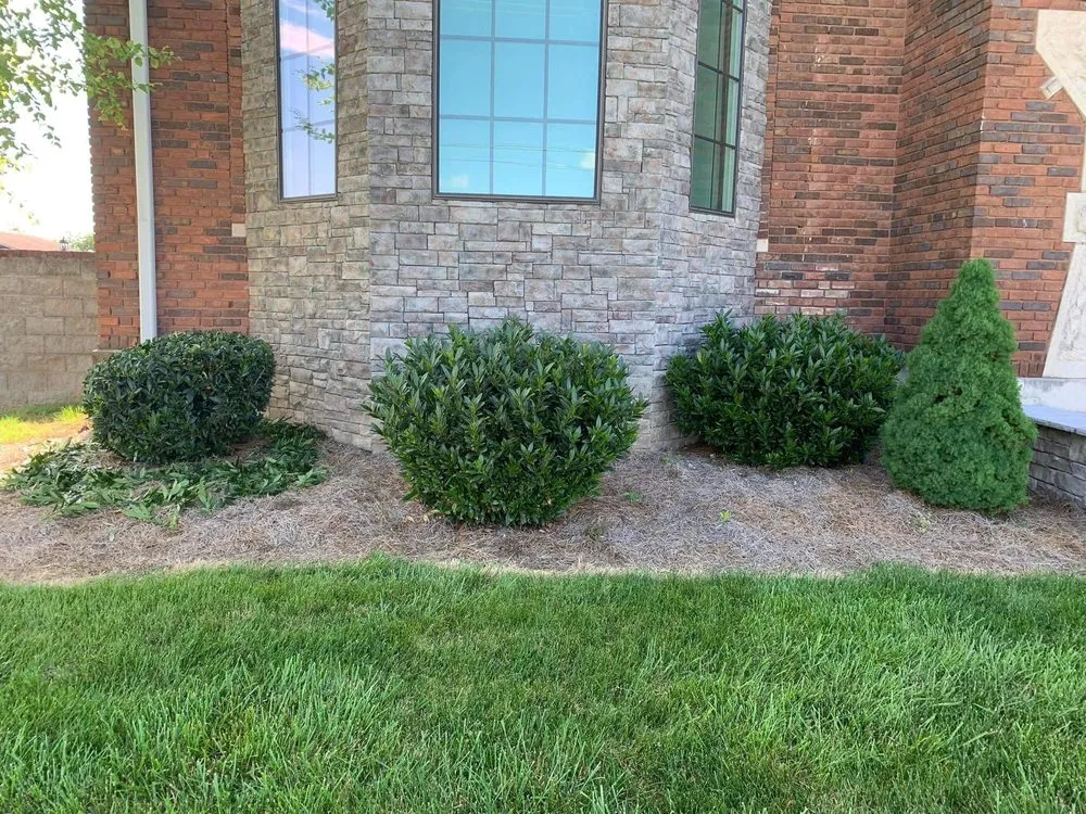 Professional landscape design near you in Oakland, KY by Smokin Grass