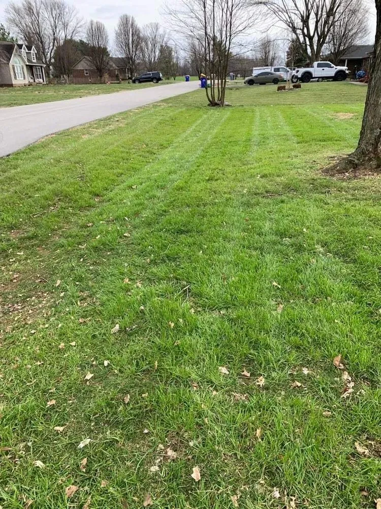 Custom residential landscaping in Oakland, KY - Smokin Grass