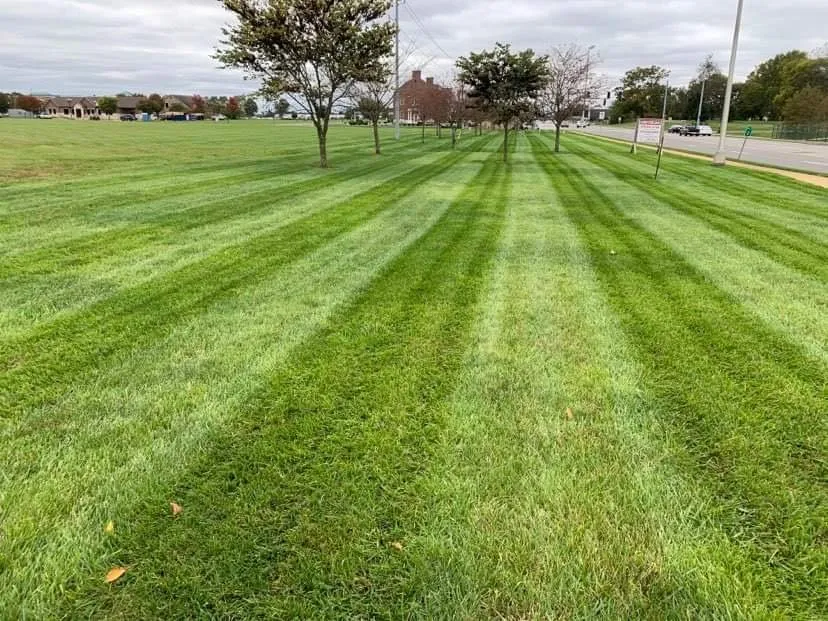 Affordable landscape installation in Oakland, KY - Smokin Grass