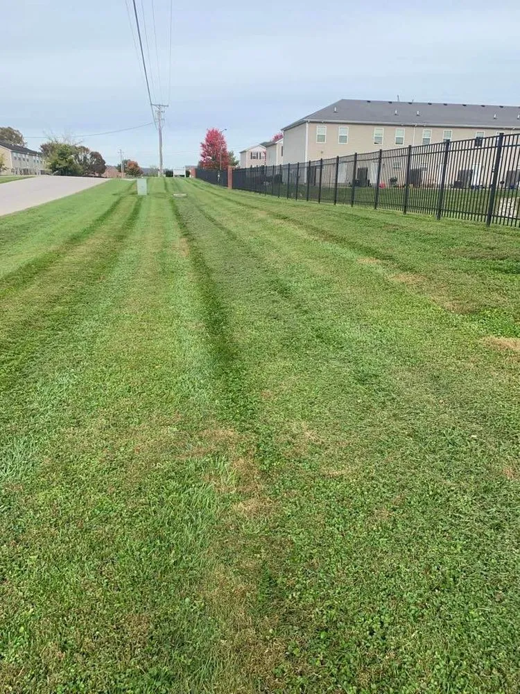 Trusted residential landscaping in Oakland, KY - Smokin Grass