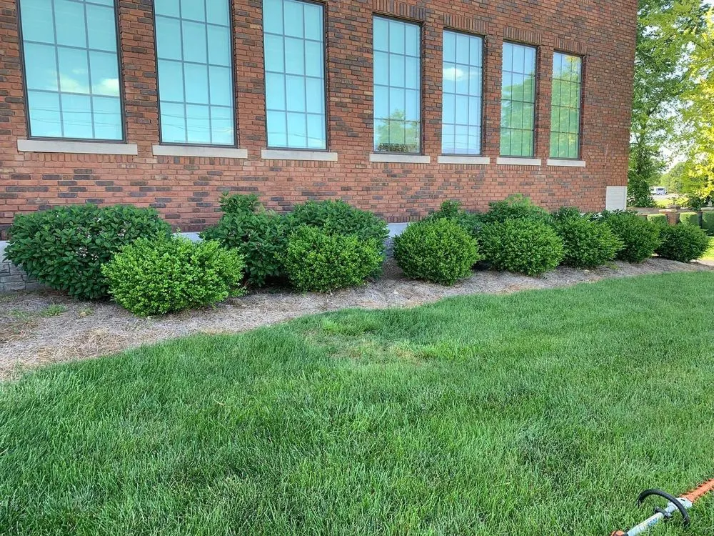 Top-rated landscaping services for residential properties across Oakland, KY - Smokin Grass