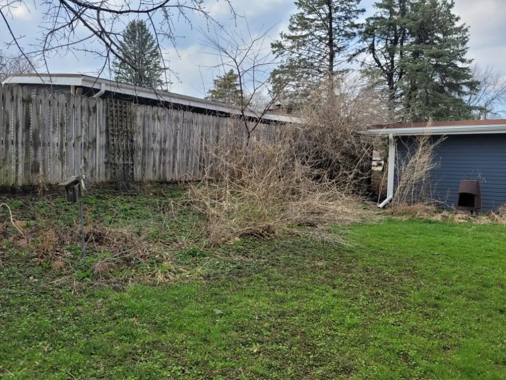 Professional yard cleanup service in Des Moines, IA - Smokin Joe's home sevices.